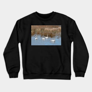 Tundra Swans Crewneck Sweatshirt